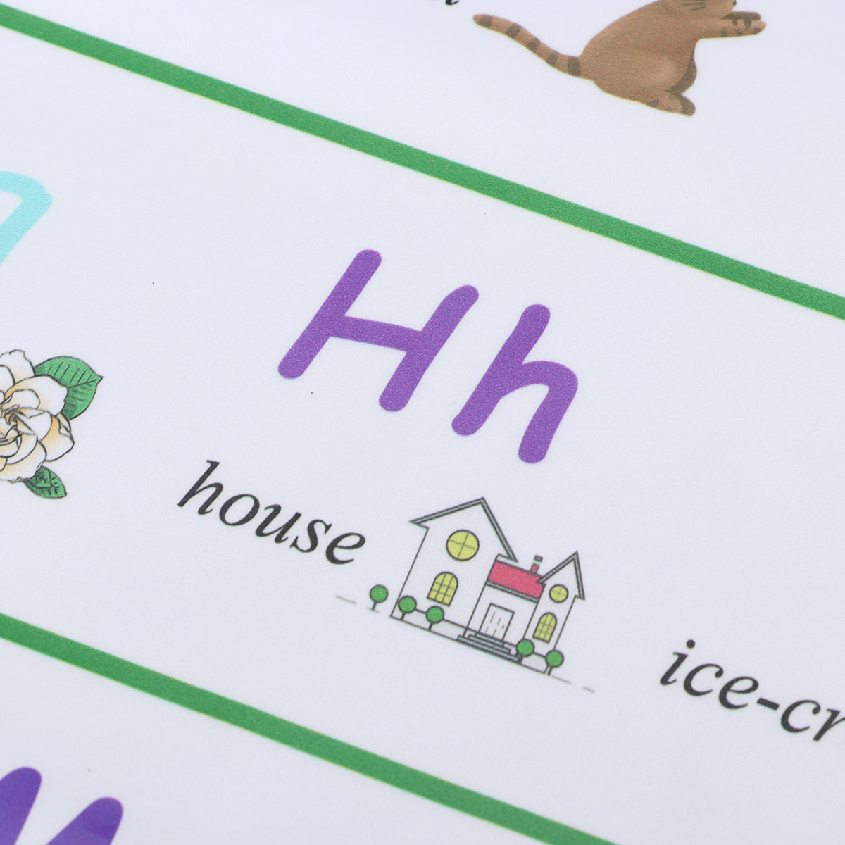 Pôster Educativo Autoadesivo d - Kids Education Charts avaliação e preço